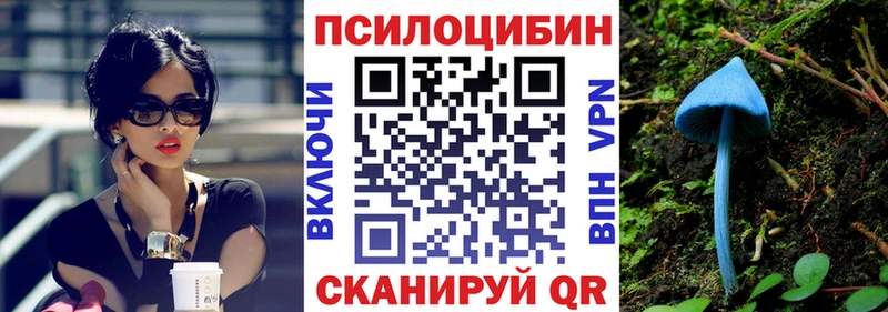 Купить закладки Горбатов Псилоцибиновые грибы ЛСД